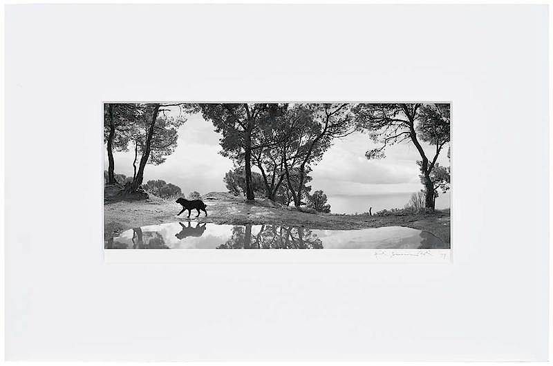 Appraisal: Pentti Sammallahti Finnish b Cilento Italy signed indistinctly in pencil