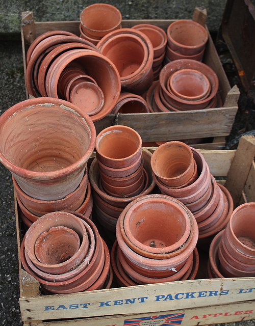 Appraisal: A COLLECTION OF VARIOUS TERRACOTTA FLOWER POTS