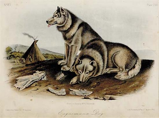 Appraisal: John James Audubon after New York - THREE WORKS ESQUIMAUX