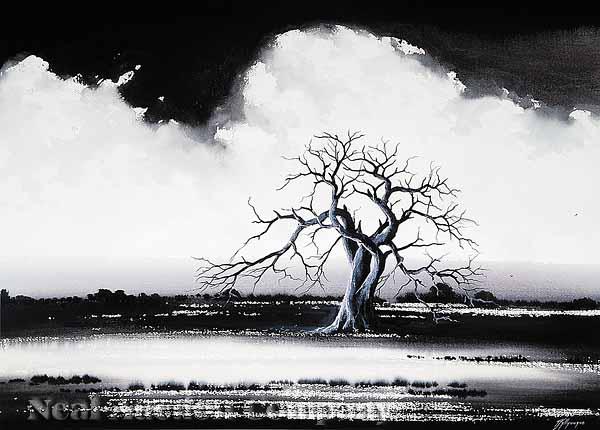 Appraisal: Tjyllyungoo Lance Chad Aboriginal Australian born Bunbury Landscape Black Tree