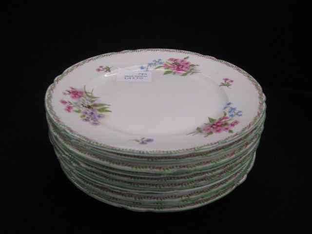 Appraisal: Shelley Bone China Plates floral sprays '' excellent